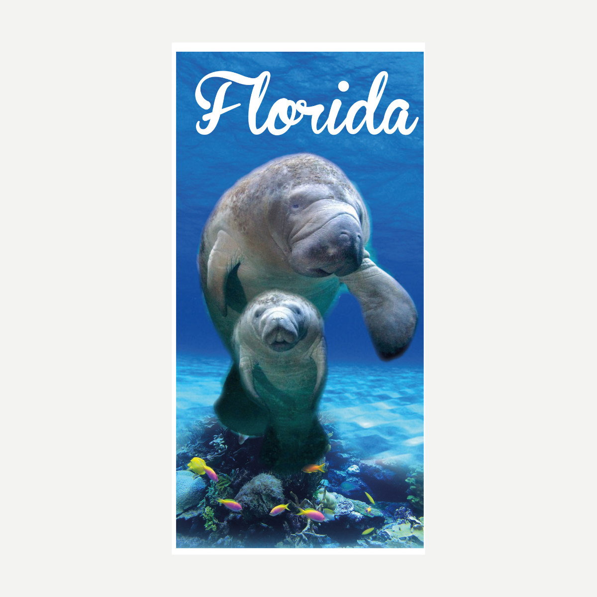 Manatee Florida Beach Towel